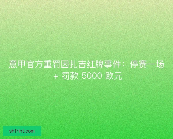 意甲官方重罚因扎吉红牌事件：停赛一场 + 罚款 5000 欧元